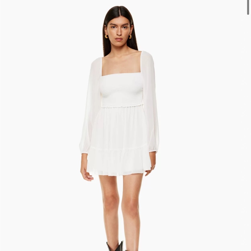 Aritzia Wilfred Tempest Mini Dress